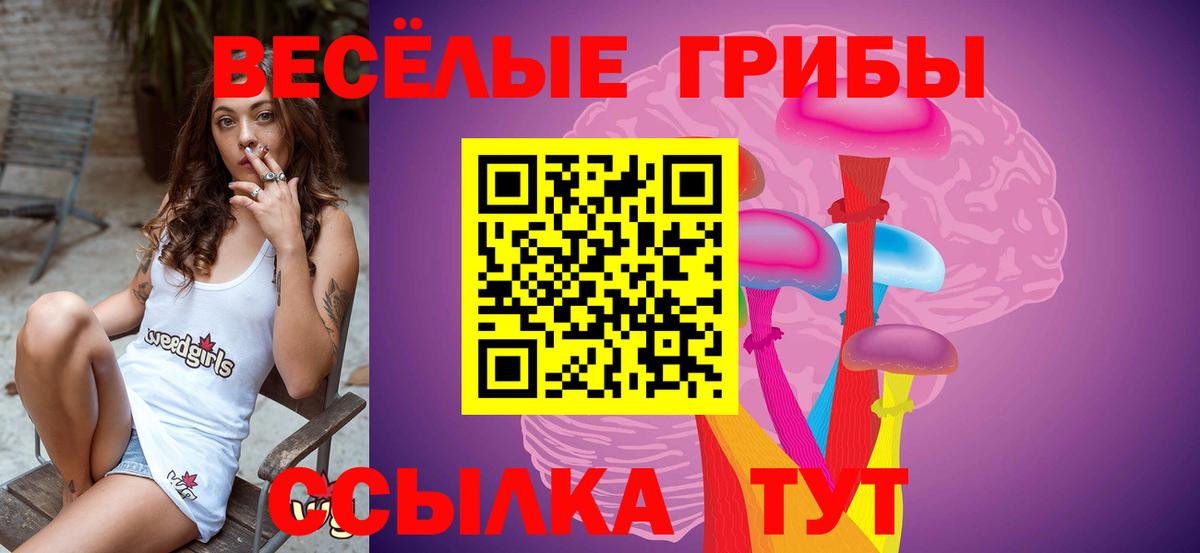 Псилоцибиновые грибы GOLDEN TEACHER  Вход с VPN  Нижневартовск 